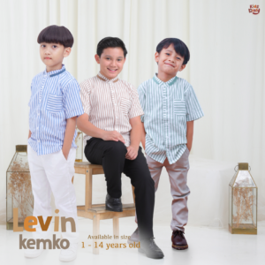 Agen - Levin Kemko